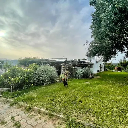 Le Corti Sarde Sea Breeze *