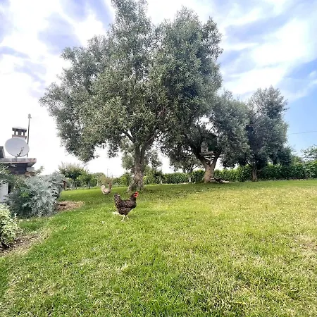 Le Corti Sarde Sea Breeze Nyaraló